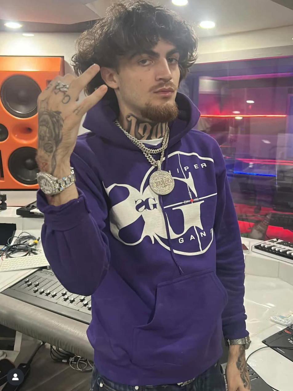 Logo Hoodie (Purple)