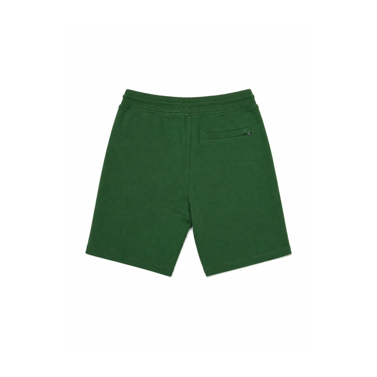 Colorblock Shorts (Military)